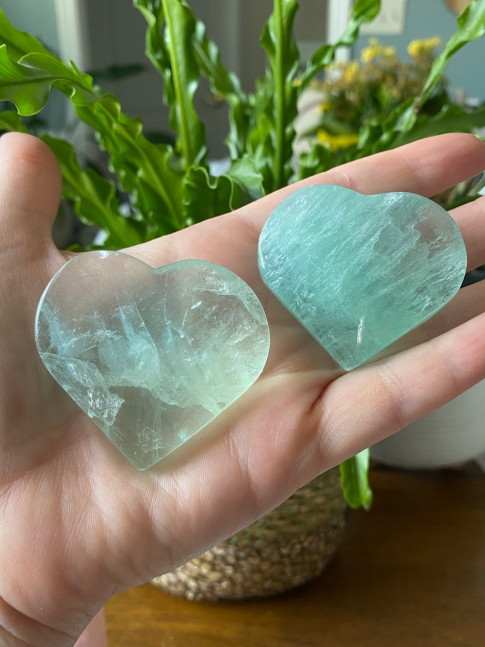 Green Fluorite Heart Palm Stones - Pair